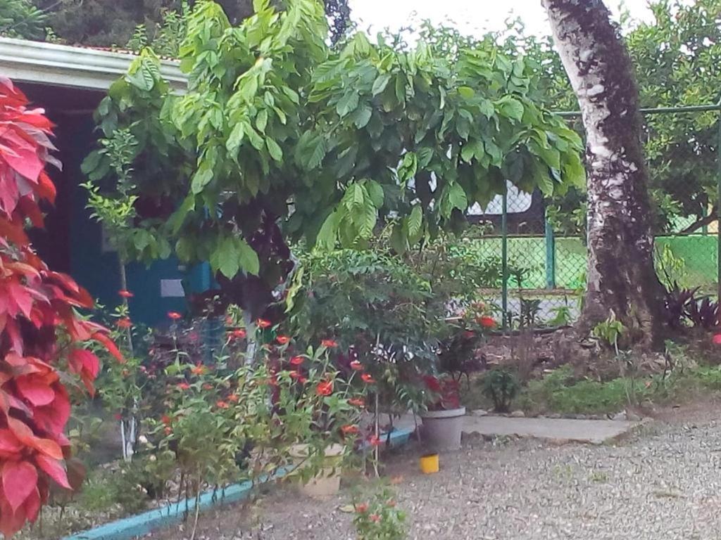 Cabinas Surf Side Cahuita Eksteriør bilde