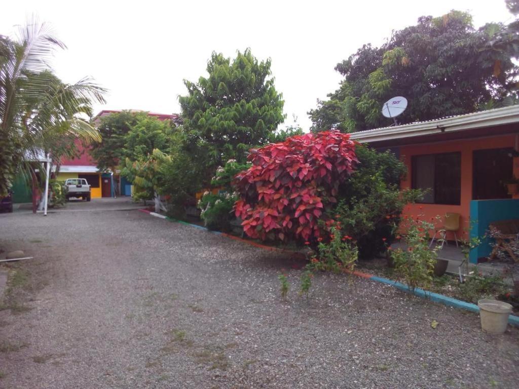 Cabinas Surf Side Cahuita Eksteriør bilde